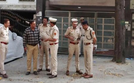 IRS officer's daughter murder: Accused arrested from Delhi's Dwarka