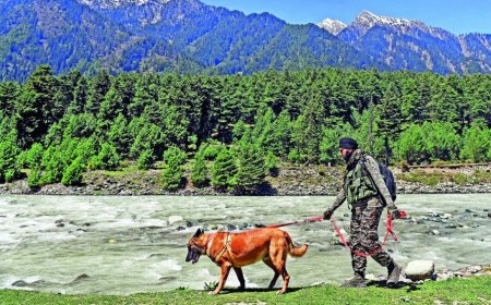 ‘India will never bow to terror’: Modi on Pahalgam attack anniv