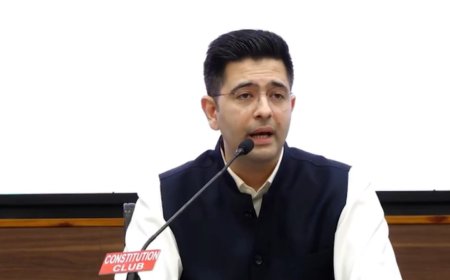 Raghav Chadha leads exodus to BJP as seven MPs quit AAP - Who are these leaders