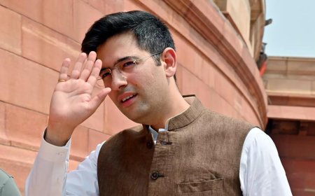 Raghav Chadha, 6 other Rajya Sabha MPs resign from Aam Aadmi Party, join BJP