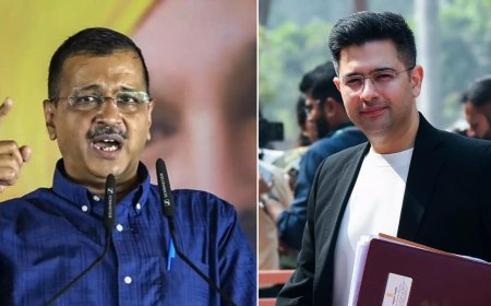 'BJP has betrayed Punjabis again': Arvind Kejriwal after Raghav Chadha leads major AAP exodus