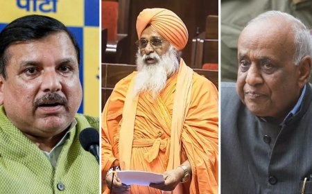 Raghav Chadha revolt sweeps 7 of 10 AAP MPs in Rajya Sabha: The 3 who stayed with Arvind Kejriwal