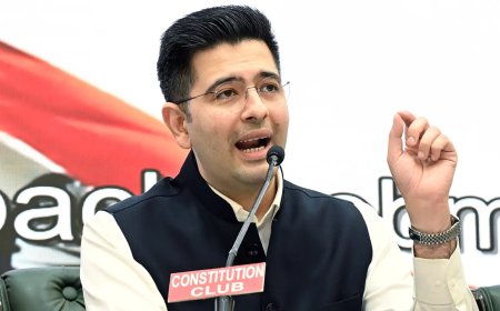 'Party of illiterate goons': Raghav Chadha's old video slamming BJP goes viral after he joins party — watch
