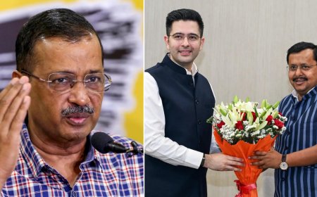 Fastest growing startup to implosion: Future tense for AAP as Raghav Chadha leads Rajya Sabha exodus