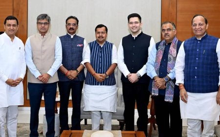 Raghav Chadha, 6 MPs exit AAP: How numbers changed in Rajya Sabha