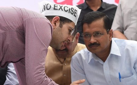 Anti-defection law won't apply to AAP MPs, say experts