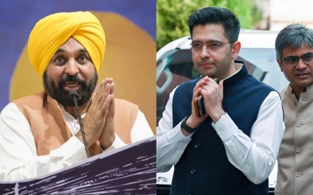 Punjab CM Bhagwant Mann seeks President Murmu's intervention after Raghav Chadha-led AAP exodus in Rajya Sabha