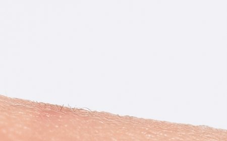 India has cut malaria cases sharply but not fully eliminated it. Where do the gaps remain?