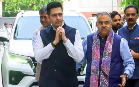 'Left out of disgust, not fear': Raghav Chadha attacks AAP over Sheesh Mahal 2.0 after joining BJP