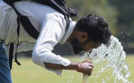 'Stay indoors': IMD's dos &amp; don'ts to beat the heat