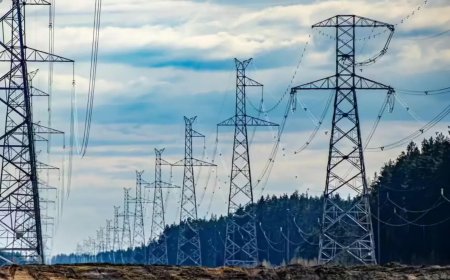 Power demand defies forecasts, officials say consumption likely to surge further