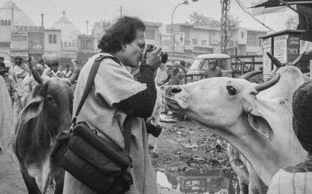 'If you're not close enough, your photo is not good enough': Remembering Raghu Rai