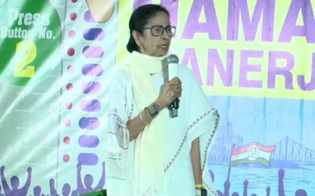 Mamata cites 'load-shedding', warns against 'EVM capture'
