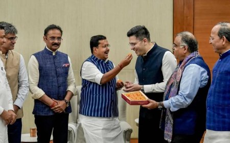 7 ex-AAP MPs formally join BJP; NDA strength in Rajya Sabha climbs to 148, AAP down to 3