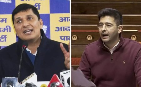 'Conspired with BJP to create neutral image': AAP counters Raghav Chadha’s 'toxic work environment' charge