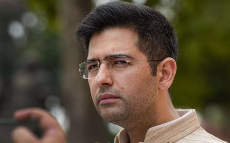 When Raghav Chadha moved bill in 2022 that would have stopped his switch from AAP to BJP