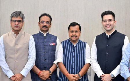 Rajya Sabha chairman accepts merger of 7 AAP MPs with BJP