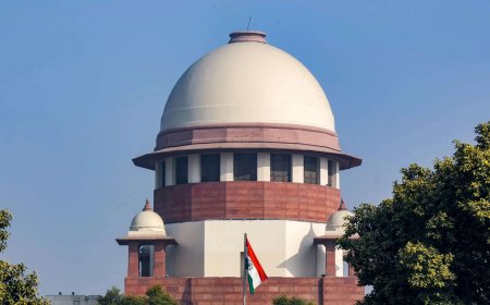 Rights of victim as important as those of accused, says SC