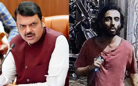 Maharashtra ISIS-inspired attack: 'Suspect had desire to attack Hindus,' CM Fadnavis says