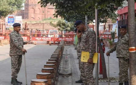 18 advanced weapons recovered from operatives: Security agencies foil Delhi terror conspiracy