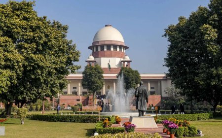 ‘Inept probe’: SC acquits 12 lifers in 2008 murder case
