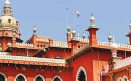 Allow leave for 3rd pregnancy: Madras HC to TN govt