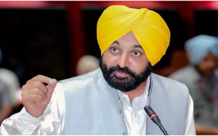 'Fellow MLAs will remain outside': Punjab CM to meet President Murmu over seven AAP RS MPs joining BJP