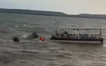 MP boat mishap: cruise capsizes in Jabalpur, 4 killed, rescue ops on