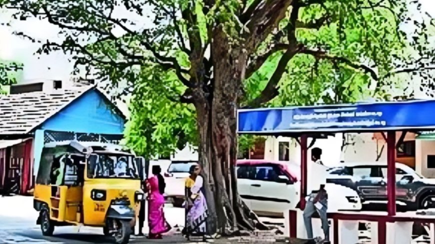 A village that rejects freebies &amp; doesn't allow political advertisements