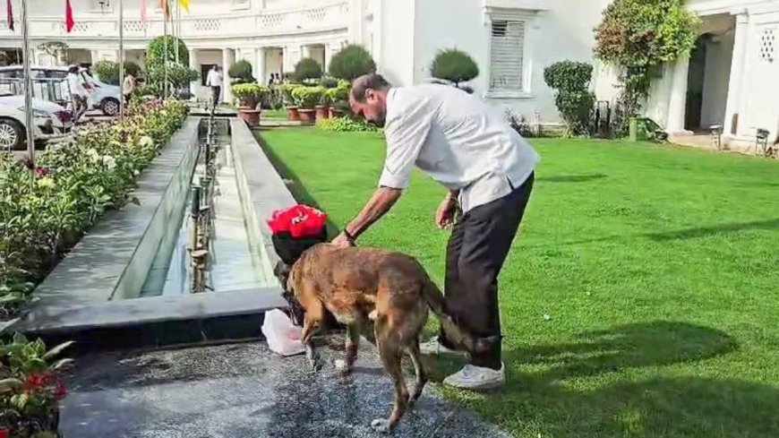 Delhi Assembly security scare: Police nab suspect, seize car; no bomb-like object found