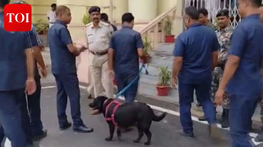 Bihar Assembly receives bomb threat, intensive search underway: Police