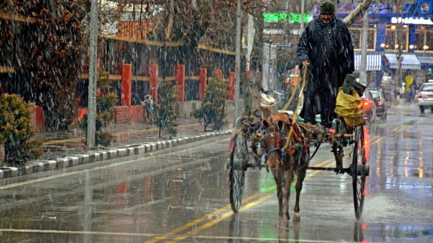 J&amp;K: Last tonga in Srinagar rolls again, 70-year-old keeps past alive