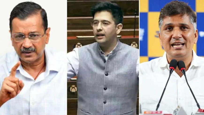 Z security, ED raids row: AAP-Raghav Chadha faceoff turns ugly; BJP piles on