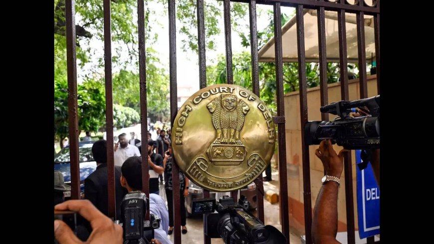 17 years on, gallery owner convicted for Shahtoosh shawl export bid