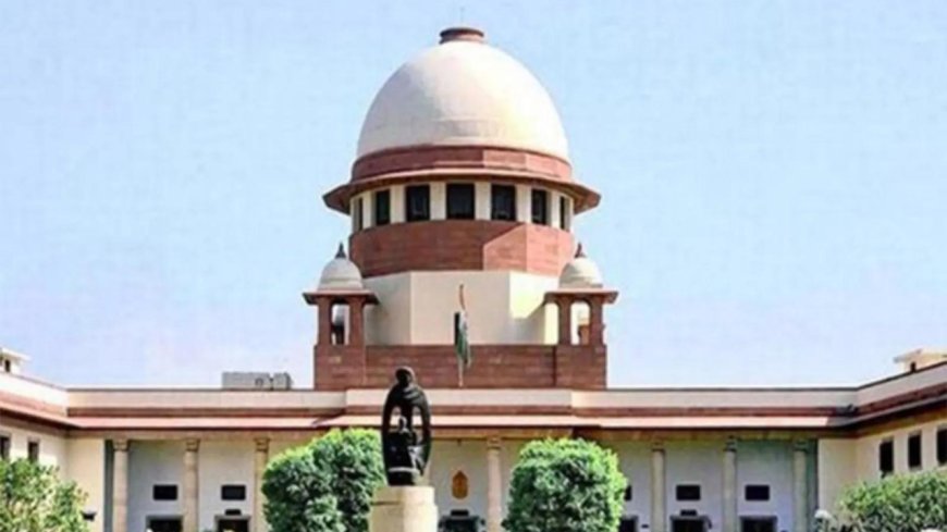 Supreme Court questions limits of judicial scrutiny under Article 25