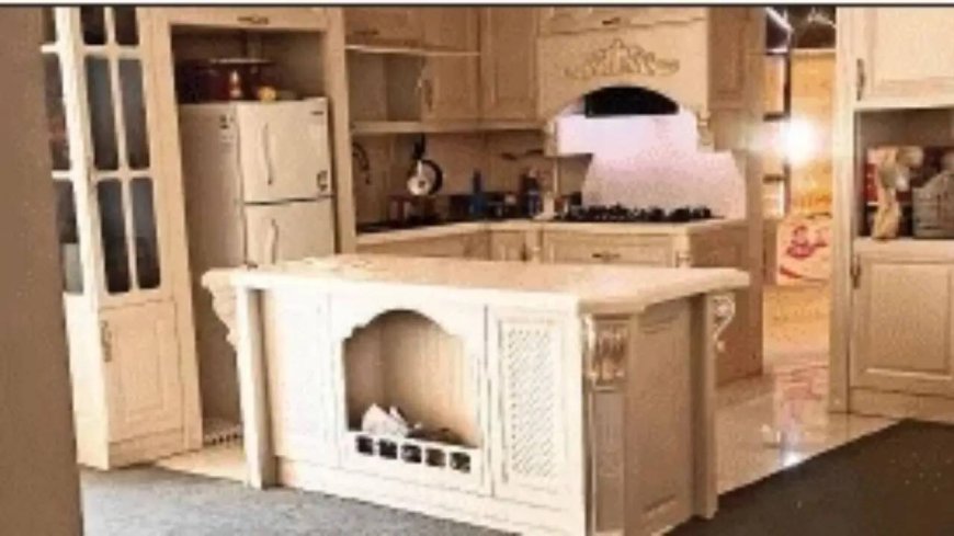 ‘Won’t leave’: Desi student lives alone in 9-storey building