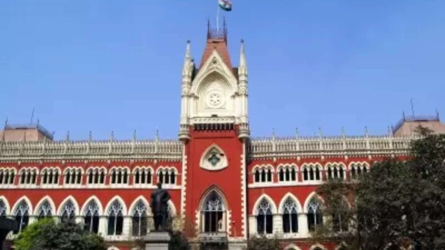 Not everyone is a troublemaker: Calcutta HC to poll panel