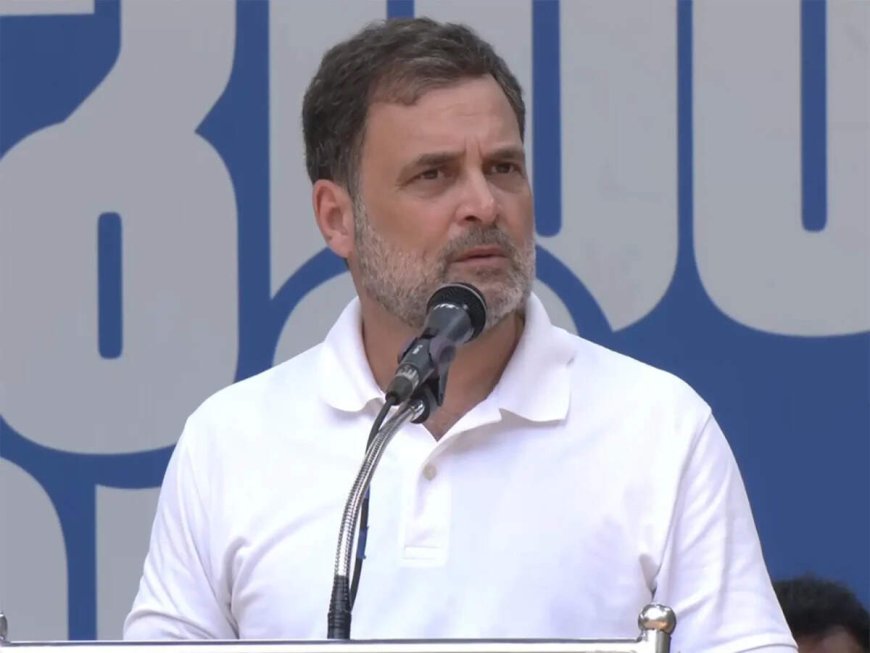 Rahul targets Mamata, TMC makes 'dog' jibe