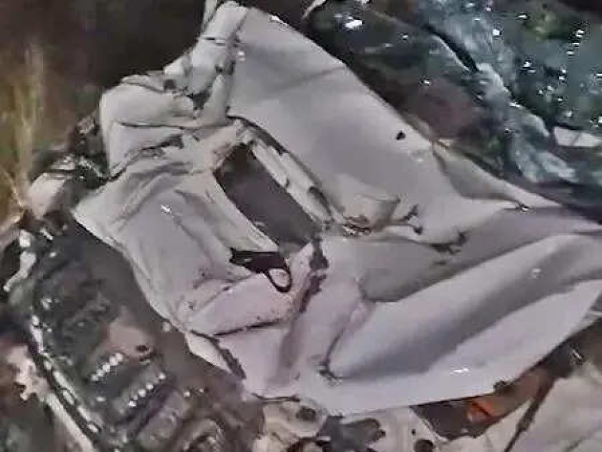 12 labourers killed, 20 injured as van overturns, crashes into SUV in Madhya Pradesh's Dhar