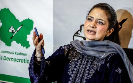 Jammu and Kashmir: FIR over ‘separatist’ content day after Iltija shares Geelani’s video on Urdu