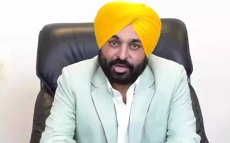 'There are rumours ... ': Mann government moves confidence motion in Punjab assembly, days after Rajya Sabha blow