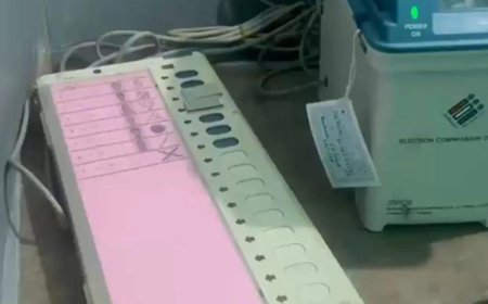 'Subversion of democratic process': EC orders fresh polling in West Bengal's Falta constituency on May 21