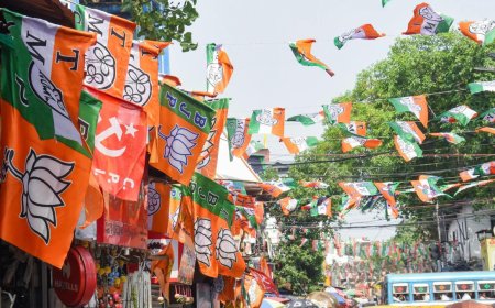Why the biggest ‘winners’ in these assembly elections may not even be political parties