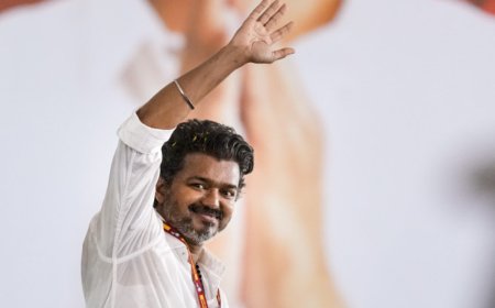 Vijay’s TVK party emerges as formidable force in Tamil Nadu; all you need to know about its journey