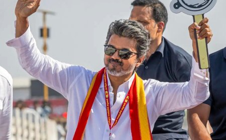 TVK storms Tamil Nadu, eclipses DMK and AIADMK but falls short of majority: What next for Vijay?