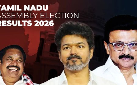 Tamil Nadu Election Results 2026: Full list of winners and losers from TVK, DMK &amp; AIADMK