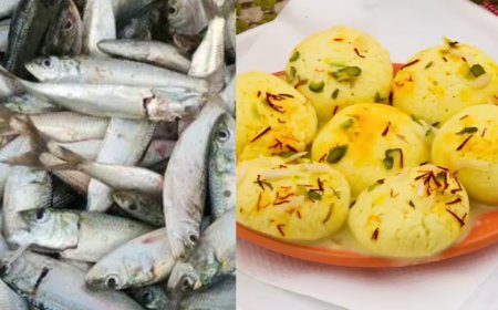 From fish curry to rasmalai: The flavours of BJP's election victory celebrations