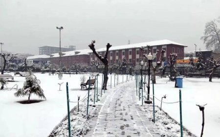 Mercury plunges as snow, rains hit Kashmir, Himachal &amp; Uttarakhand