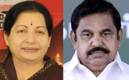 Tamil Nadu assembly election results: Amma's shoes just got bigger for EPS