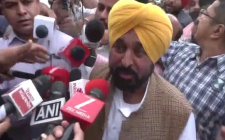 Punjab CM leaves for Delhi, will meet President Murmu to raise issue of AAP MPs moving to BJP